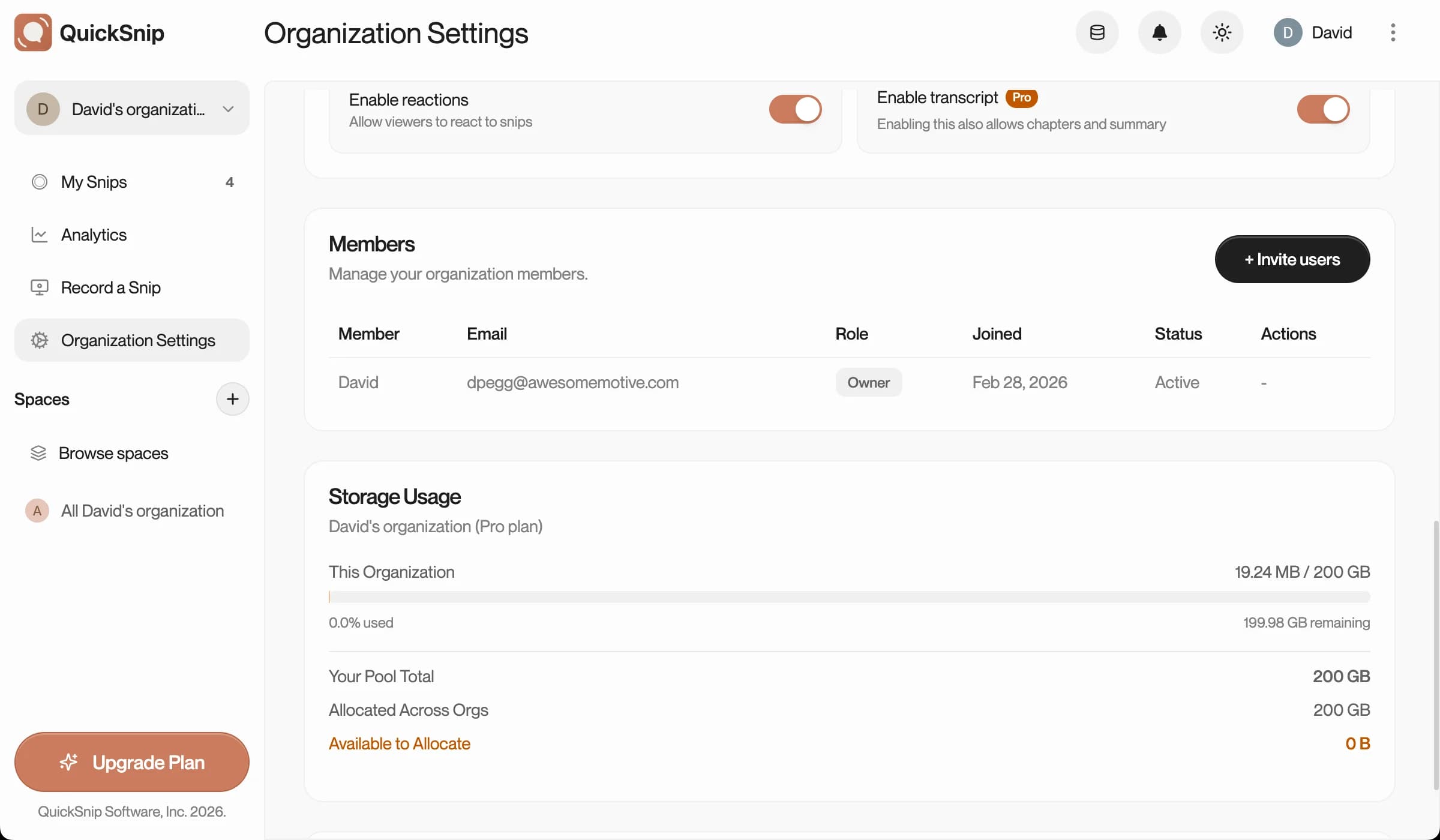 Organization Settings page showing current plan and storage usage