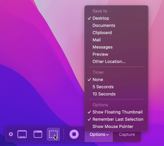 macOS Screenshot toolbar Options dropdown showing save location, timer, and recording options